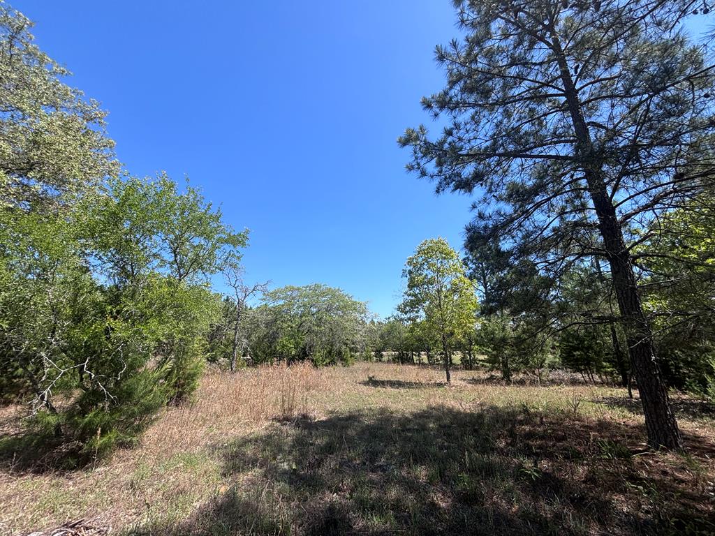 5-ac 5-ac Kirkland Store Road Mauk, GA 31058 - Photo 15 of 17 a big yard with lots of green space and fog
