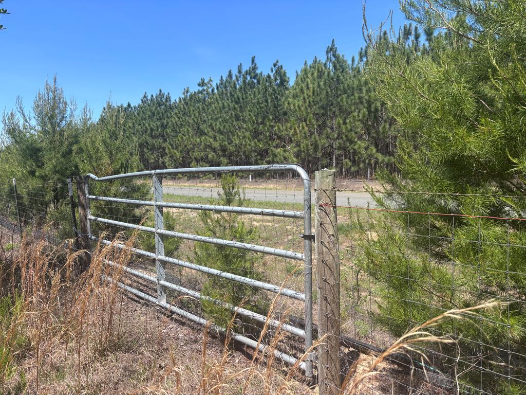 5-ac 5-ac Kirkland Store Road Mauk, GA 31058 - Photo 17 of 17 a view of a yard