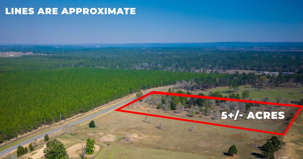 5-ac 5-ac Kirkland Store Road Mauk, GA 31058 - Photo 2 of 17 a view of a street with a garden