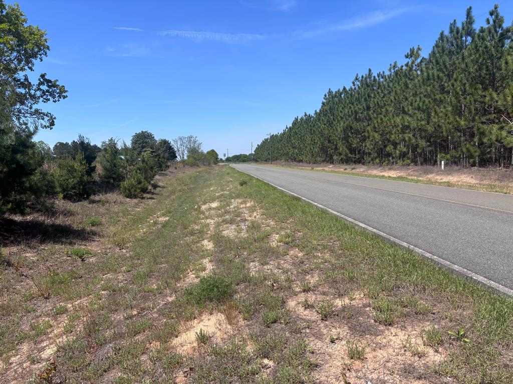 5-ac 5-ac Kirkland Store Road Mauk, GA 31058 - Photo 4 of 17 a view of a yard with a tree