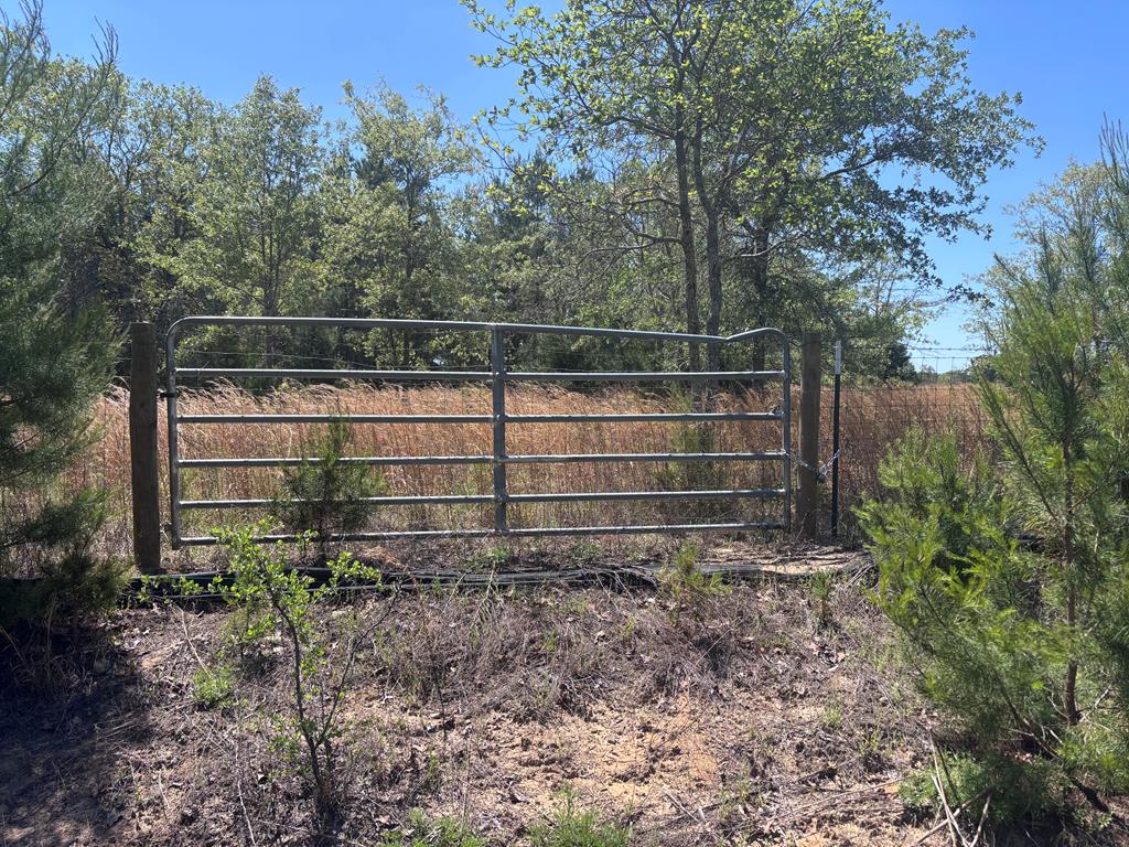 5-ac 5-ac Kirkland Store Road Mauk, GA 31058 - Photo 6 of 17 a view of a backyard