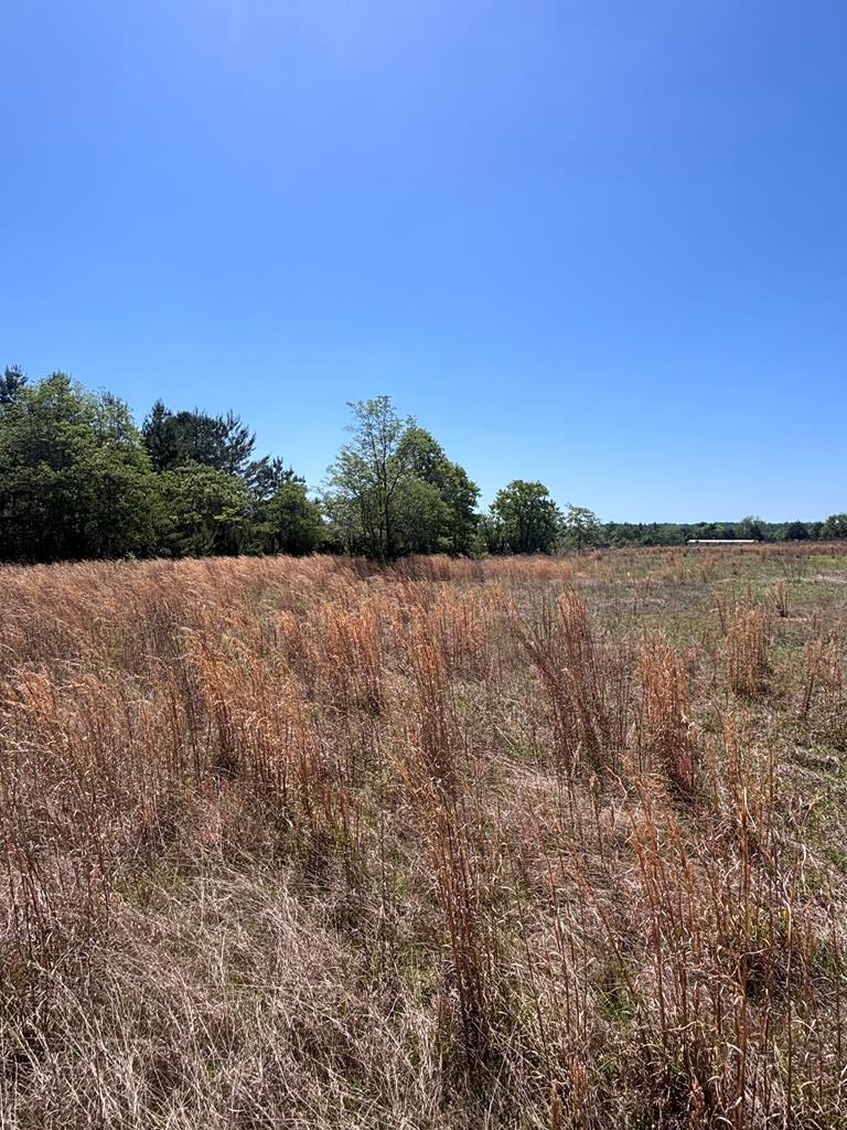5-ac 5-ac Kirkland Store Road Mauk, GA 31058 - Photo 7 of 17 a view of mountain with lake view