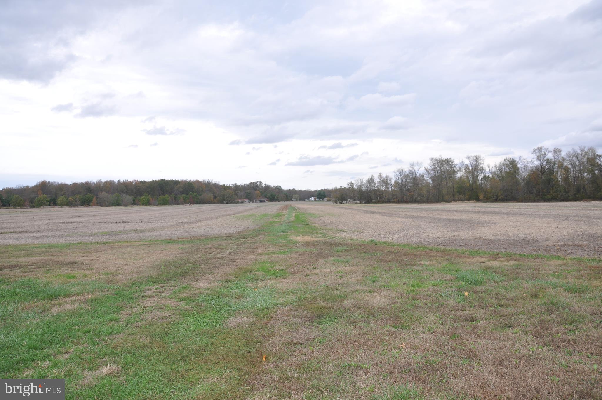 2915 Peters Corner Road Marydel, MD 21649 - Photo 14 of 26