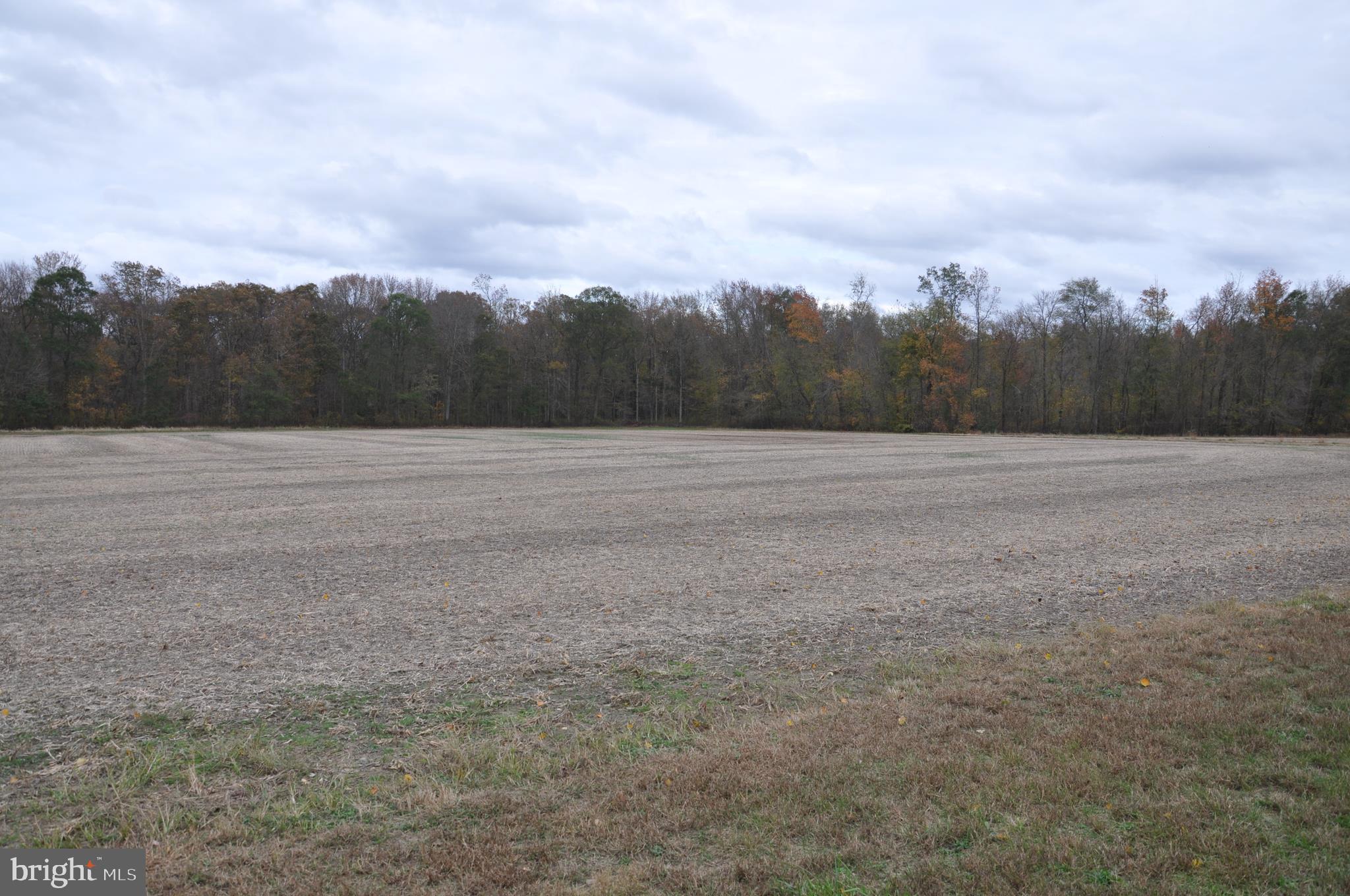 2915 Peters Corner Road Marydel, MD 21649 - Photo 22 of 26