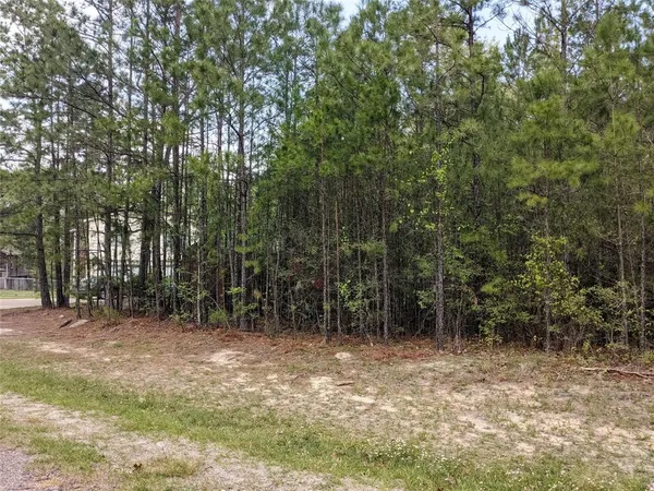 a big yard with lots of green space and deers
