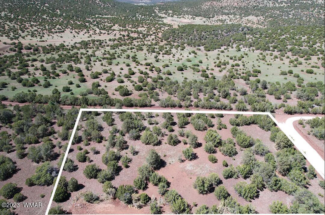 85 County Road Show Low, AZ 85901 - Photo 1 of 25
