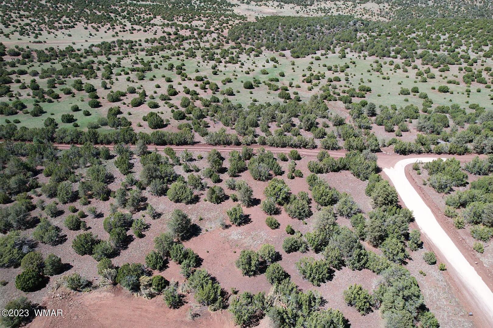 85 County Road Show Low, AZ 85901 - Photo 11 of 25