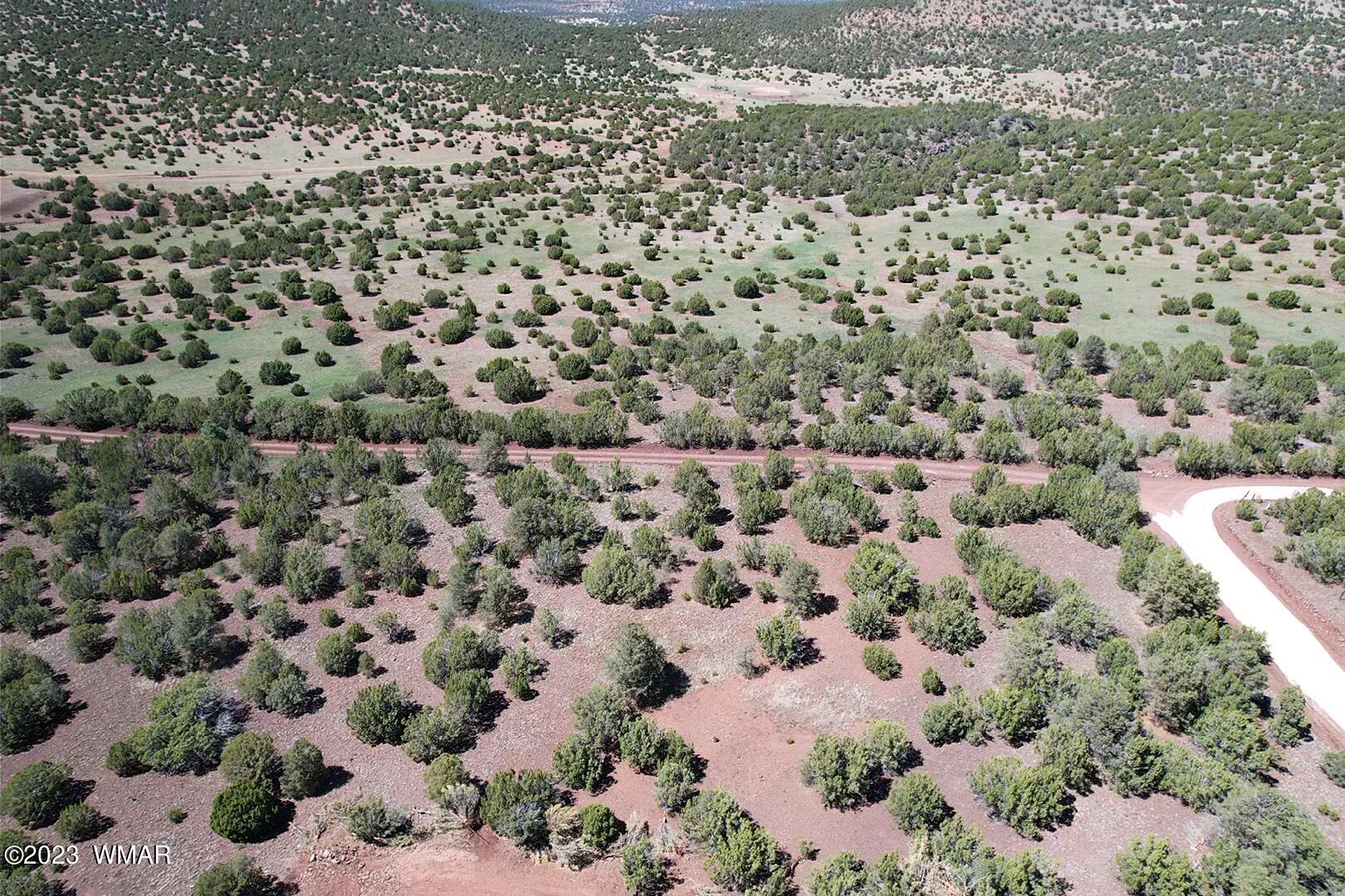 85 County Road Show Low, AZ 85901 - Photo 12 of 25