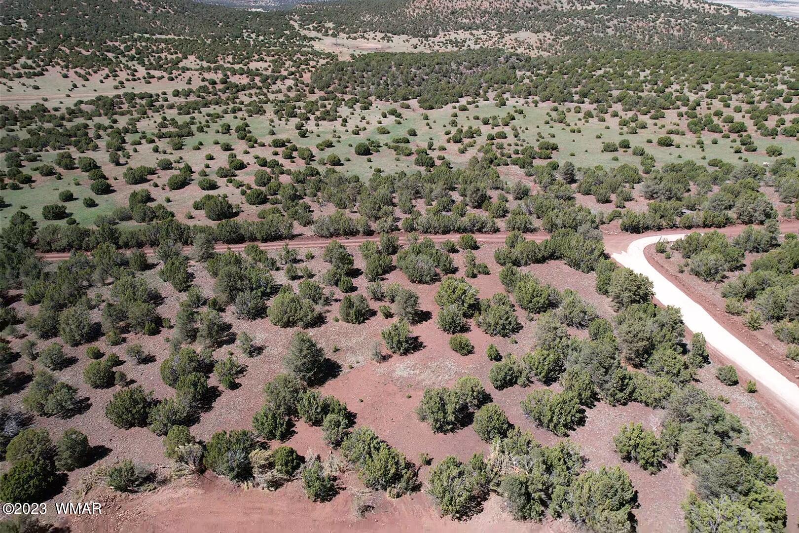 85 County Road Show Low, AZ 85901 - Photo 17 of 25