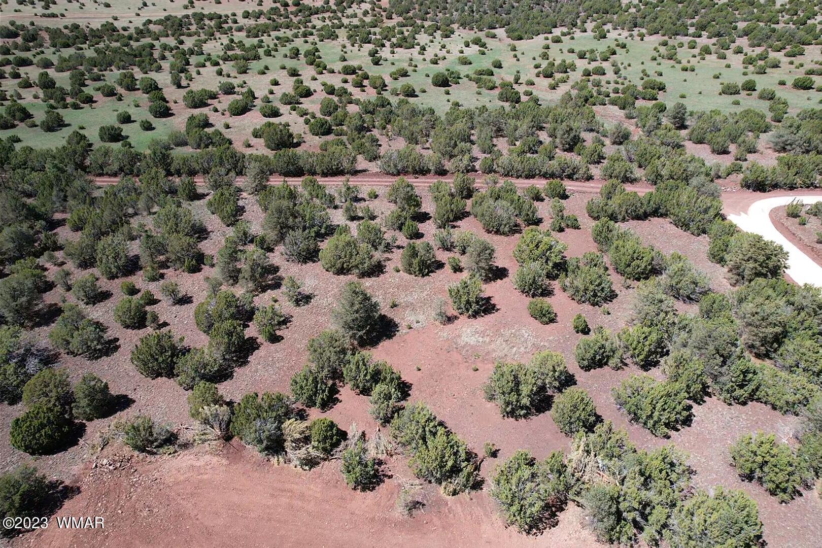 85 County Road Show Low, AZ 85901 - Photo 18 of 25