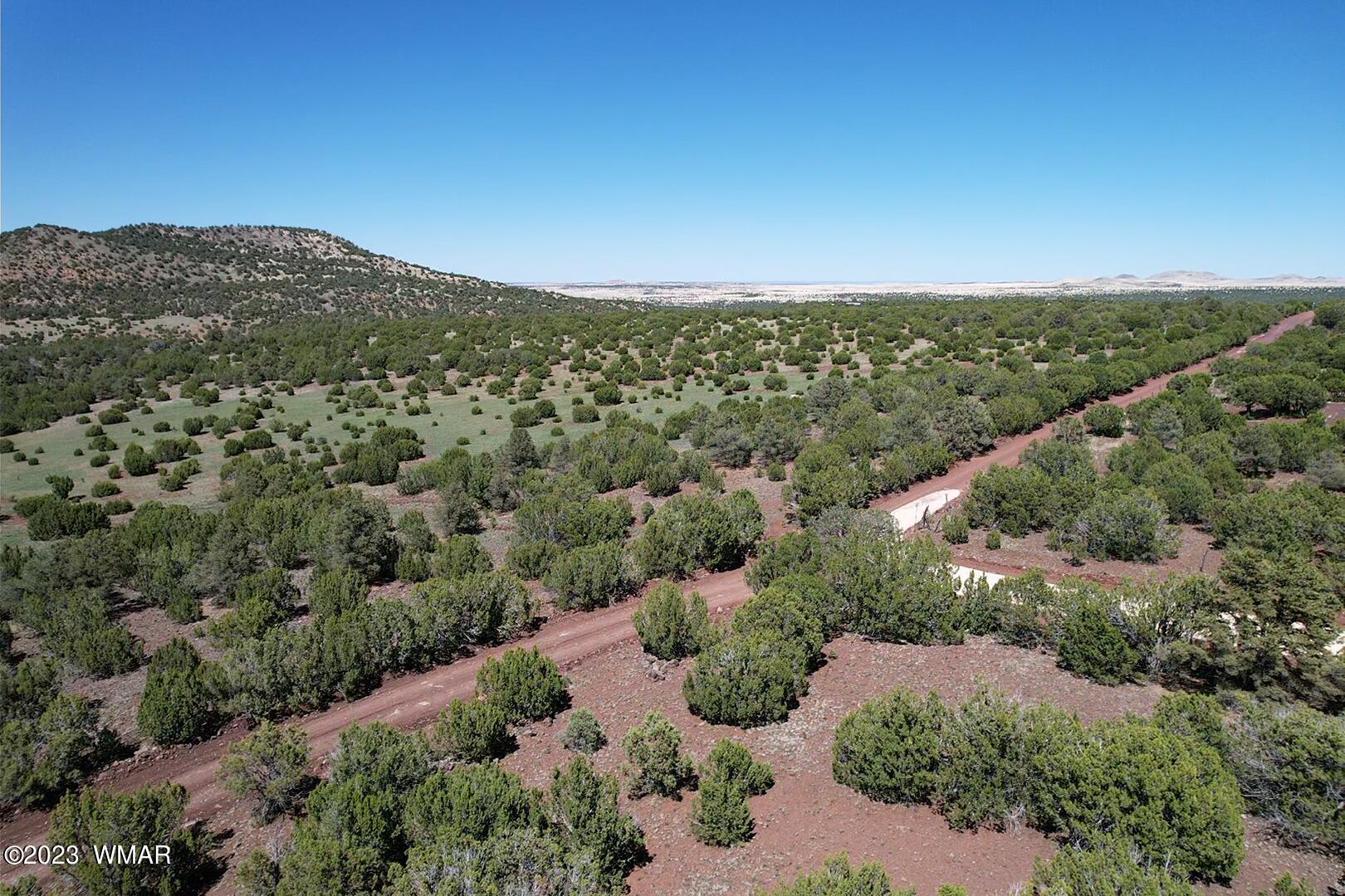 85 County Road Show Low, AZ 85901 - Photo 20 of 25