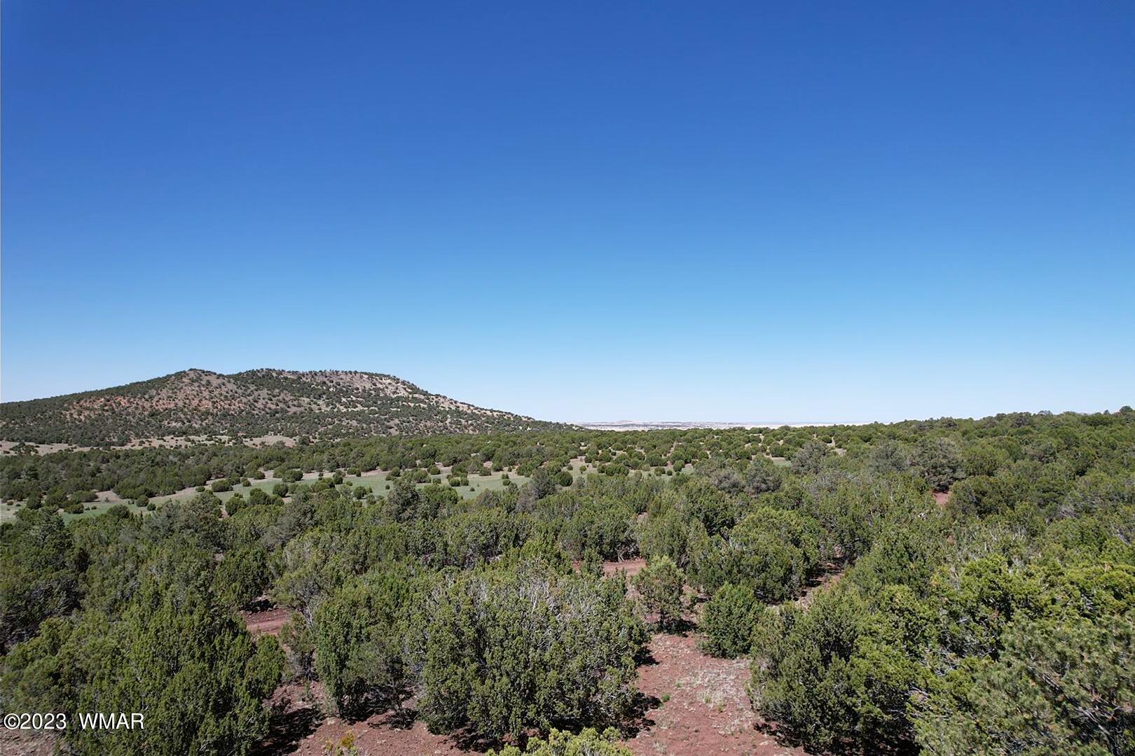 85 County Road Show Low, AZ 85901 - Photo 21 of 25