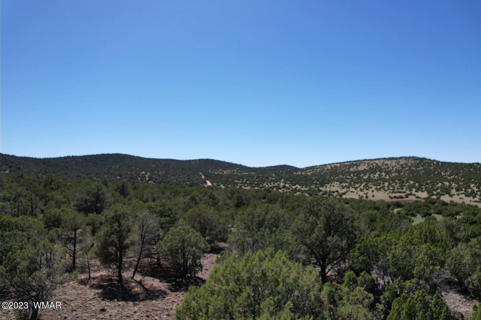 85 County Road Show Low, AZ 85901 - Photo 22 of 25
