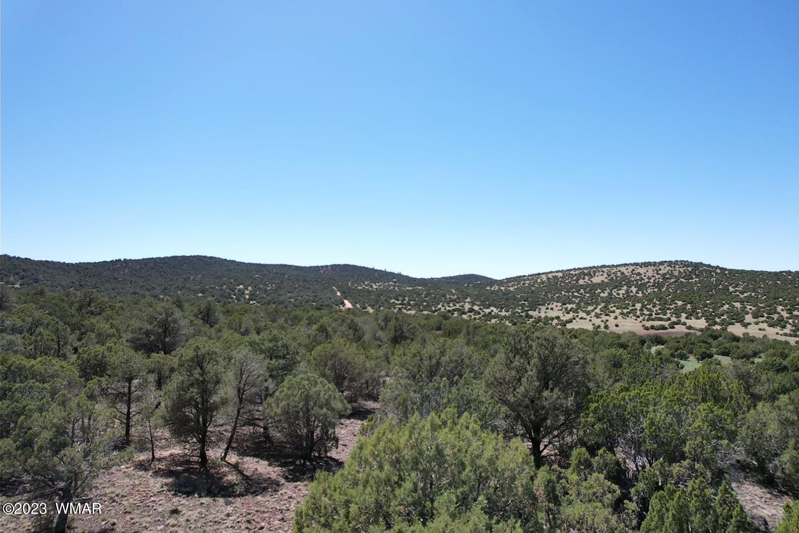 85 County Road Show Low, AZ 85901 - Photo 23 of 25