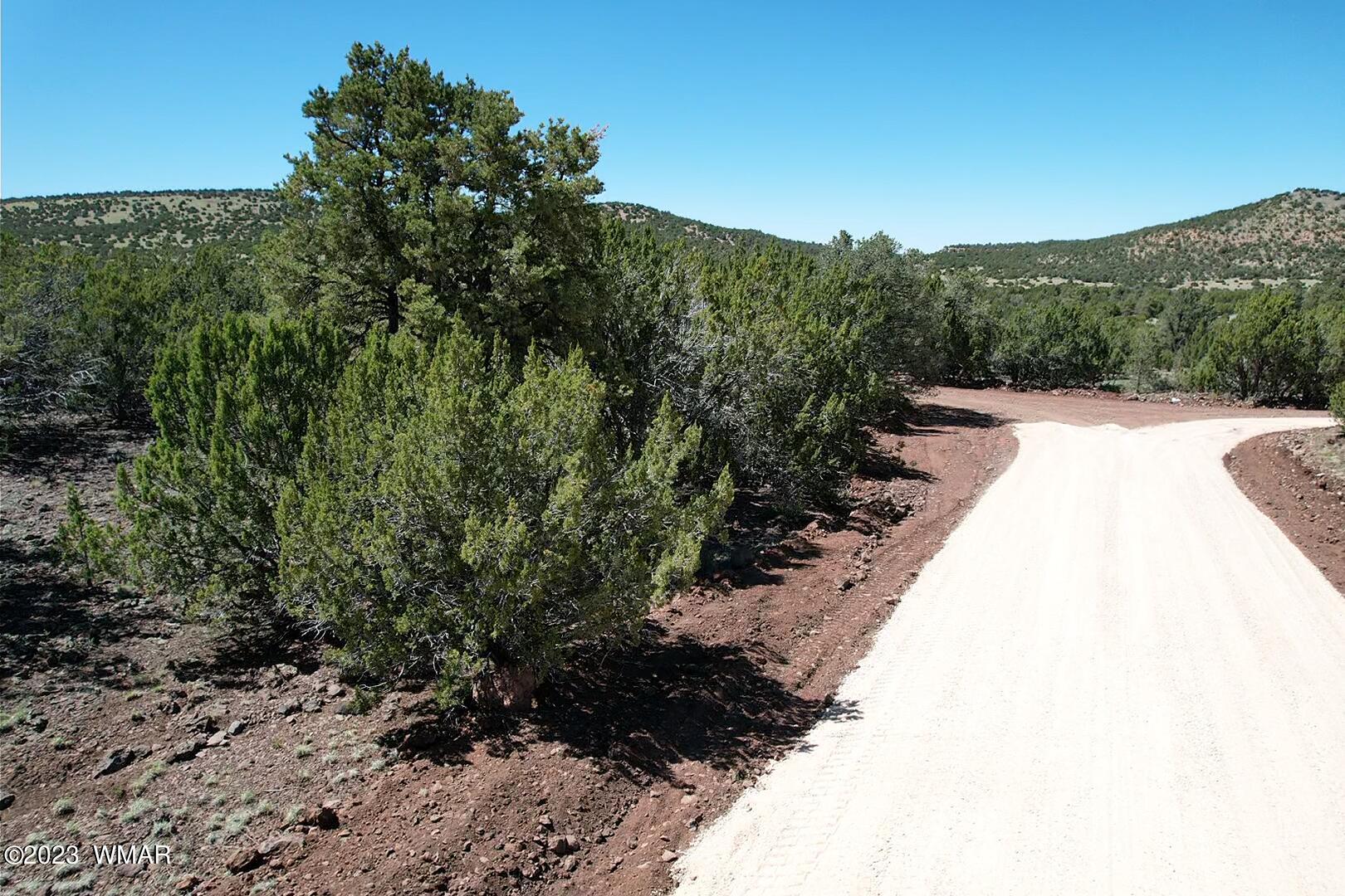 85 County Road Show Low, AZ 85901 - Photo 24 of 25