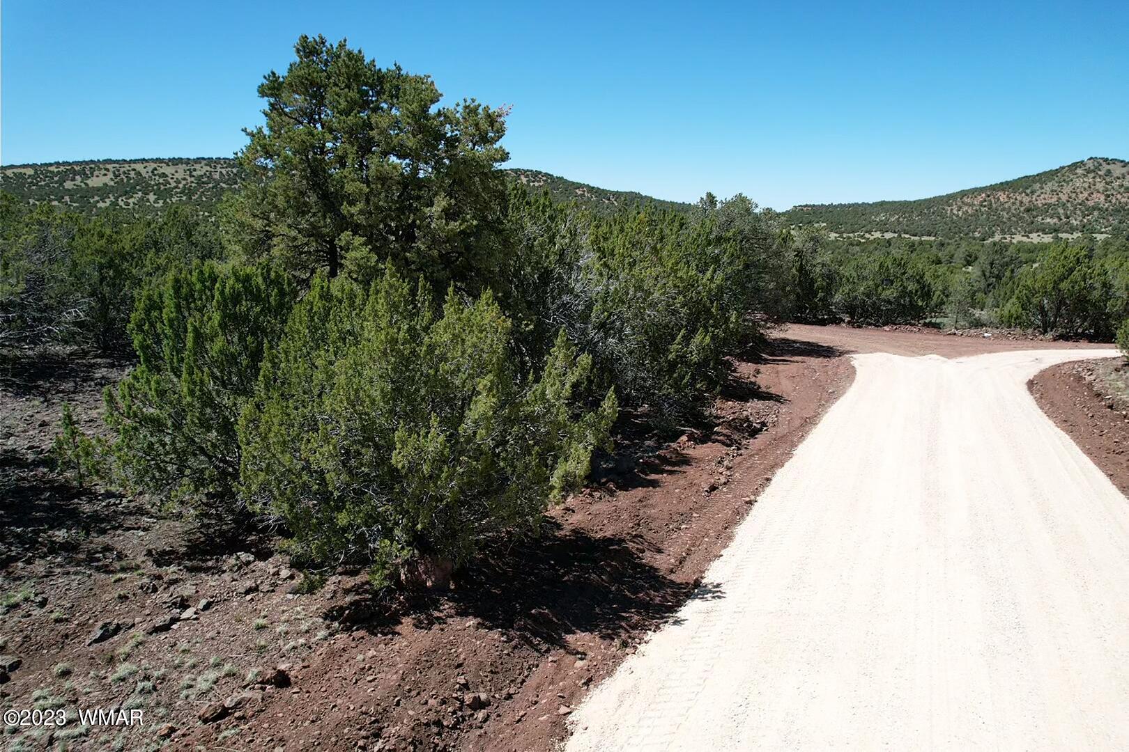 85 County Road Show Low, AZ 85901 - Photo 25 of 25