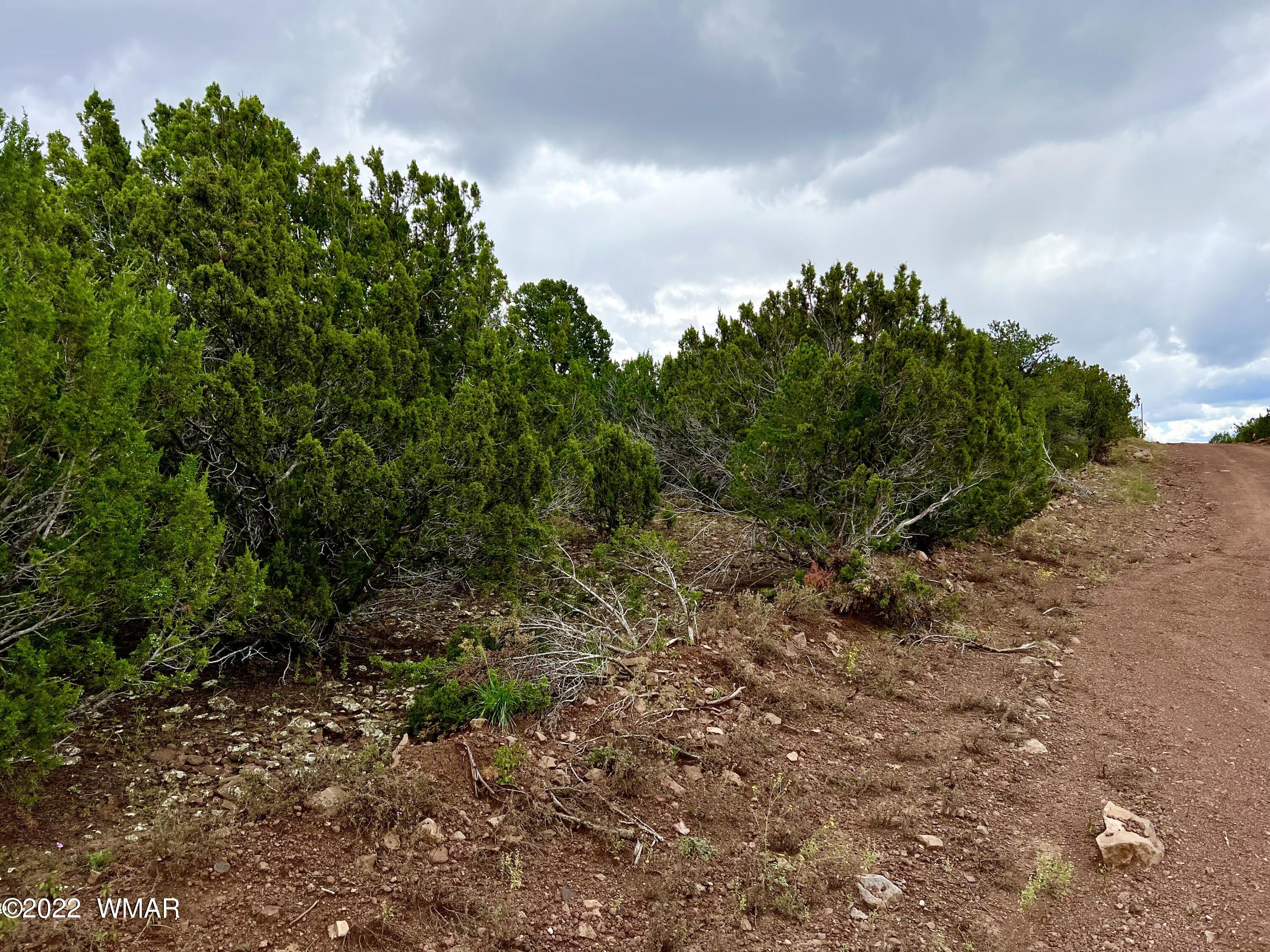 85 County Road Show Low, AZ 85901 - Photo 5 of 25