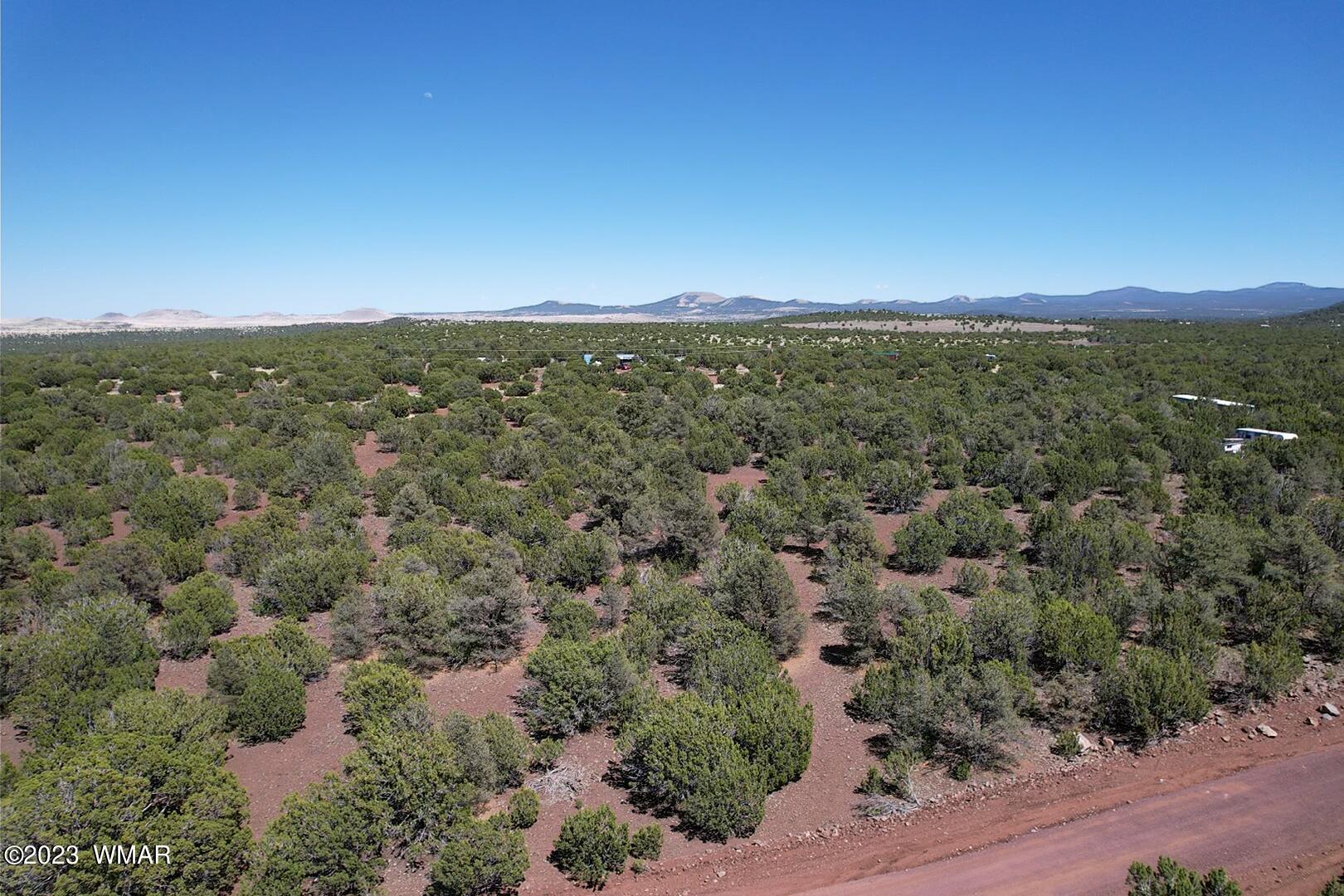 85 County Road Show Low, AZ 85901 - Photo 7 of 25