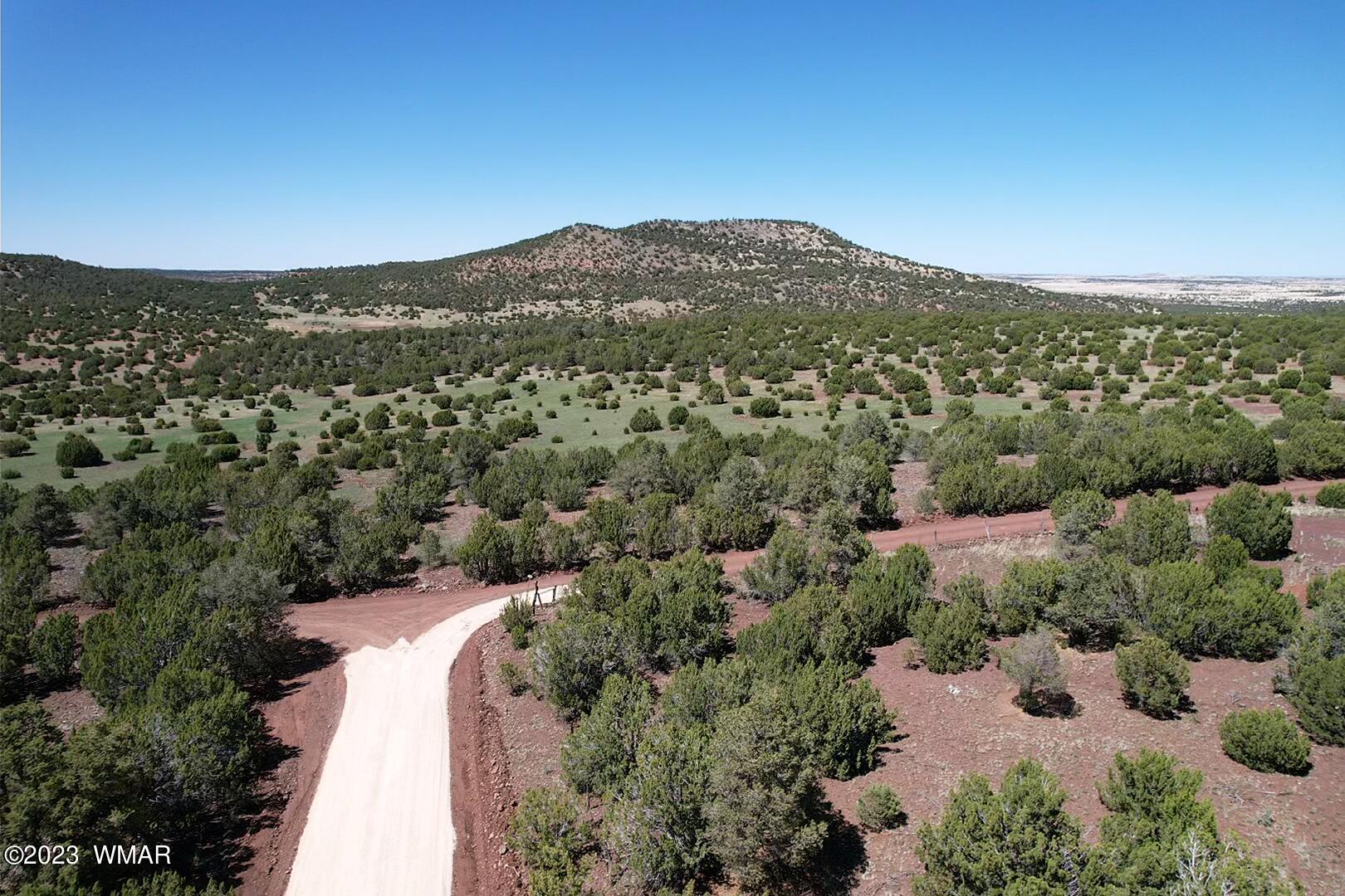 85 County Road Show Low, AZ 85901 - Photo 9 of 25