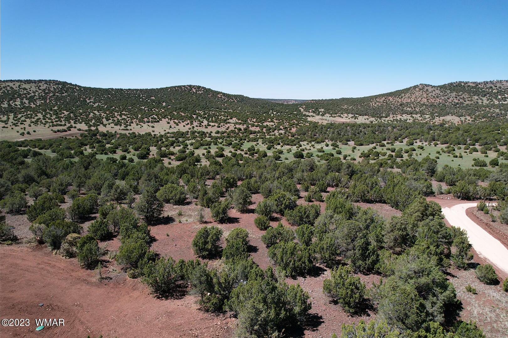 85 County Road Show Low, AZ 85901 - Photo 10 of 25