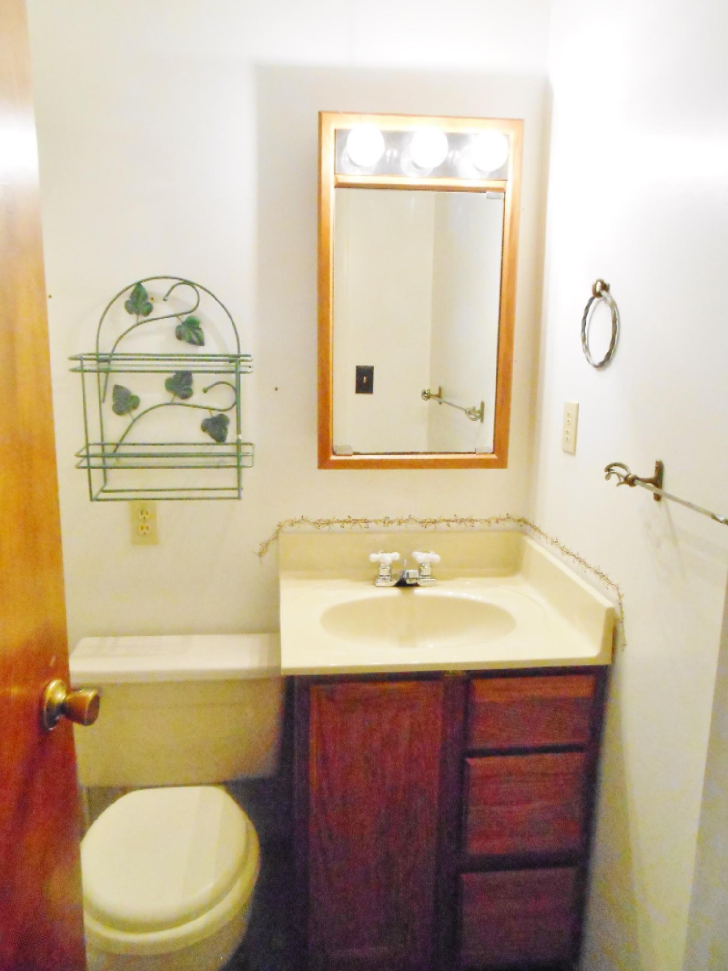 630 Lakeview Road Paw Paw, MI 49079 - Photo 22 of 28 DSCN1688