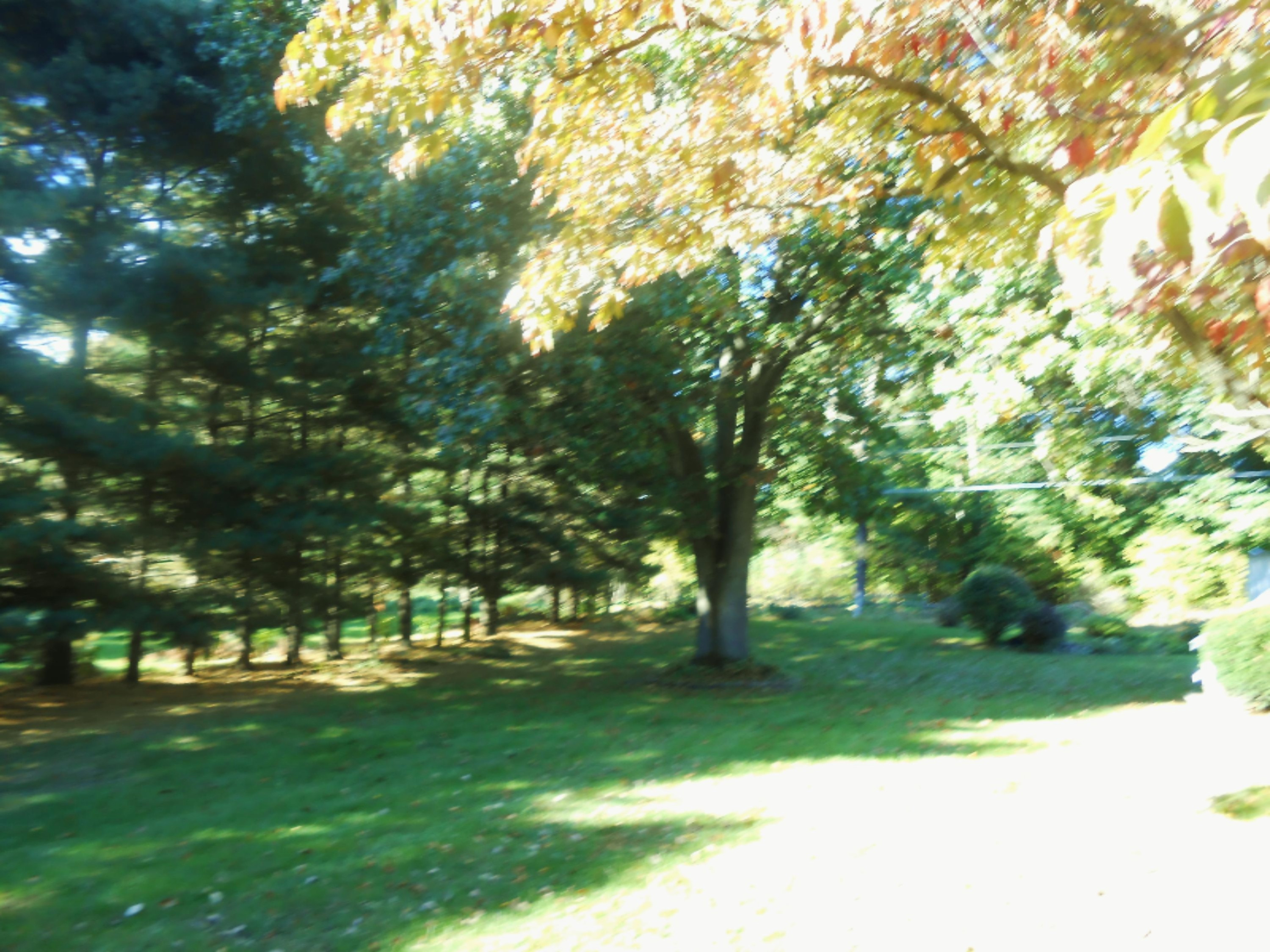 630 Lakeview Road Paw Paw, MI 49079 - Photo 9 of 28 DSCN1673