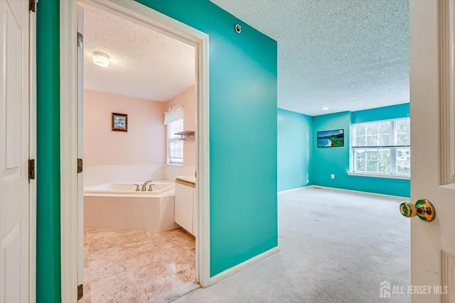 a bathroom with a tub sink and a mirror