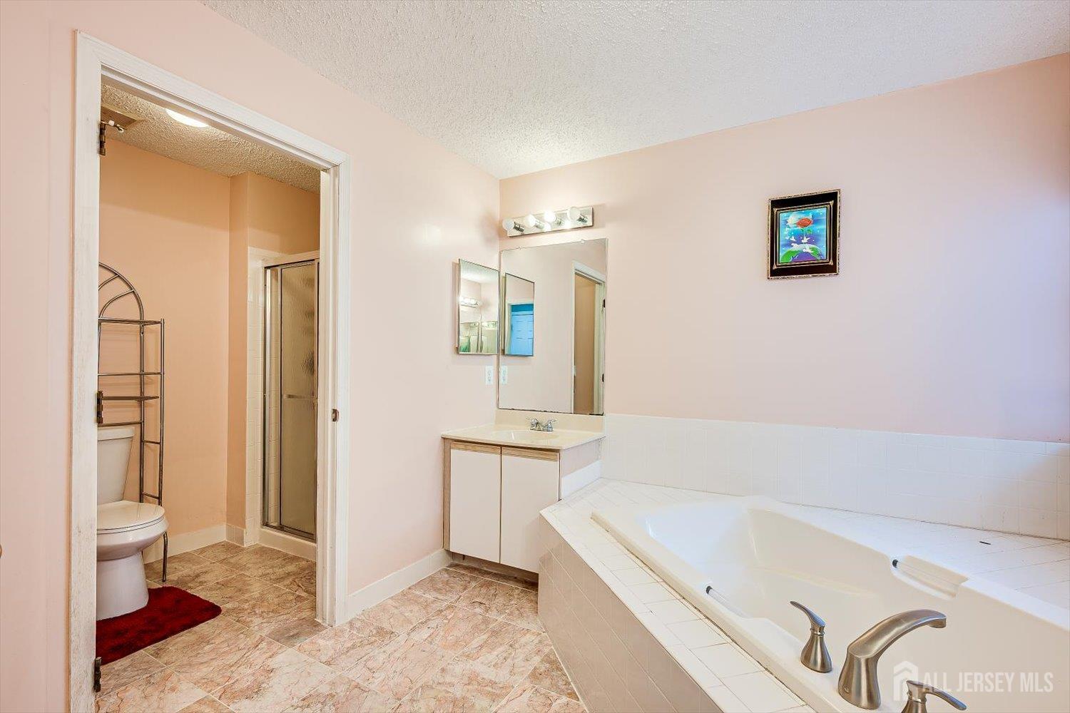 10 Guisborough Way Edison, NJ 08820 - Photo 20 of 27 a bathroom with a tub a sink and a large mirror