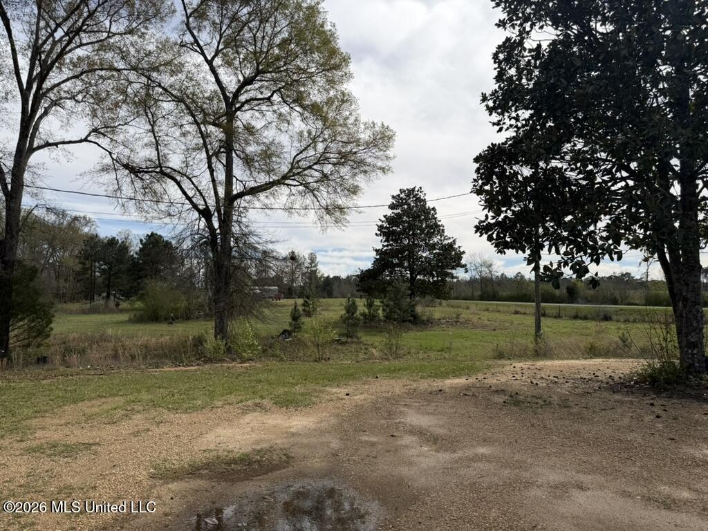 Tbd Ole Springs Road Summit, MS 39666 - Photo 22 of 32 D1A93965-4431-4A16-A84A-93CC420889FD_1_1