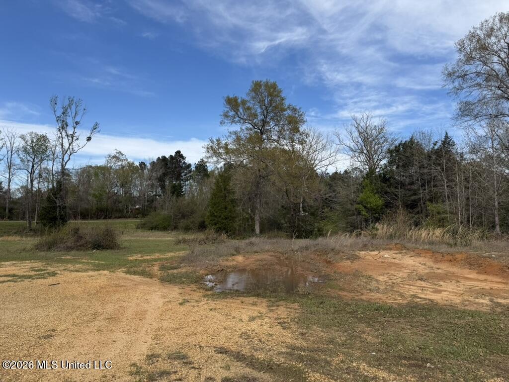 Tbd Ole Springs Road Summit, MS 39666 - Photo 24 of 32 35410740-53C2-423F-A865-390DEA7112E1_1_1