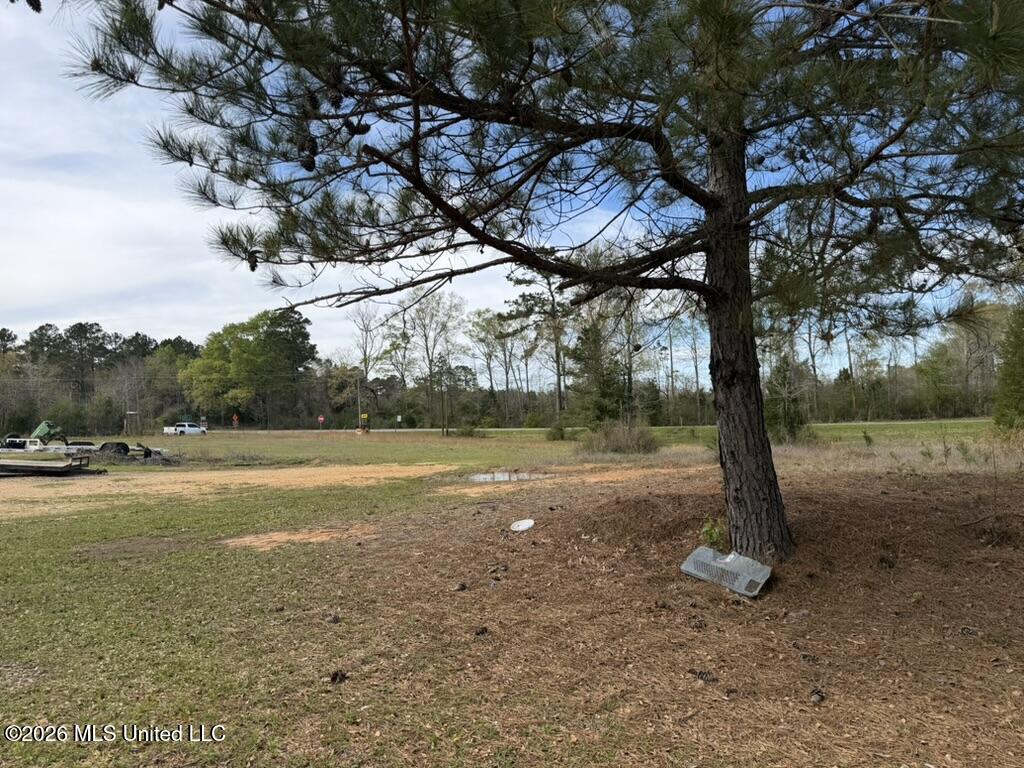 Tbd Ole Springs Road Summit, MS 39666 - Photo 25 of 32 7D1D639B-4CDA-4F71-B8E0-B50913ED3782_1_1