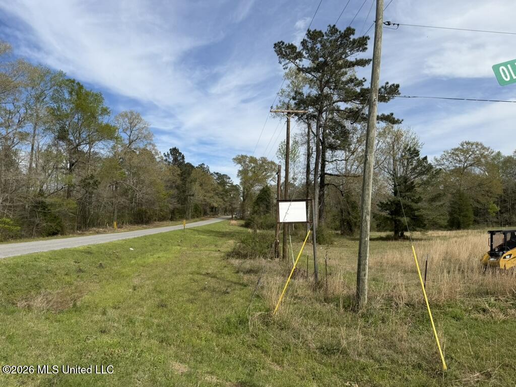 Tbd Ole Springs Road Summit, MS 39666 - Photo 29 of 32 A4C6B42D-10CD-4638-BB13-1FFF4825CBCE_1_1