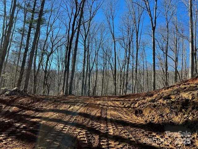 a backyard of a house with large trees