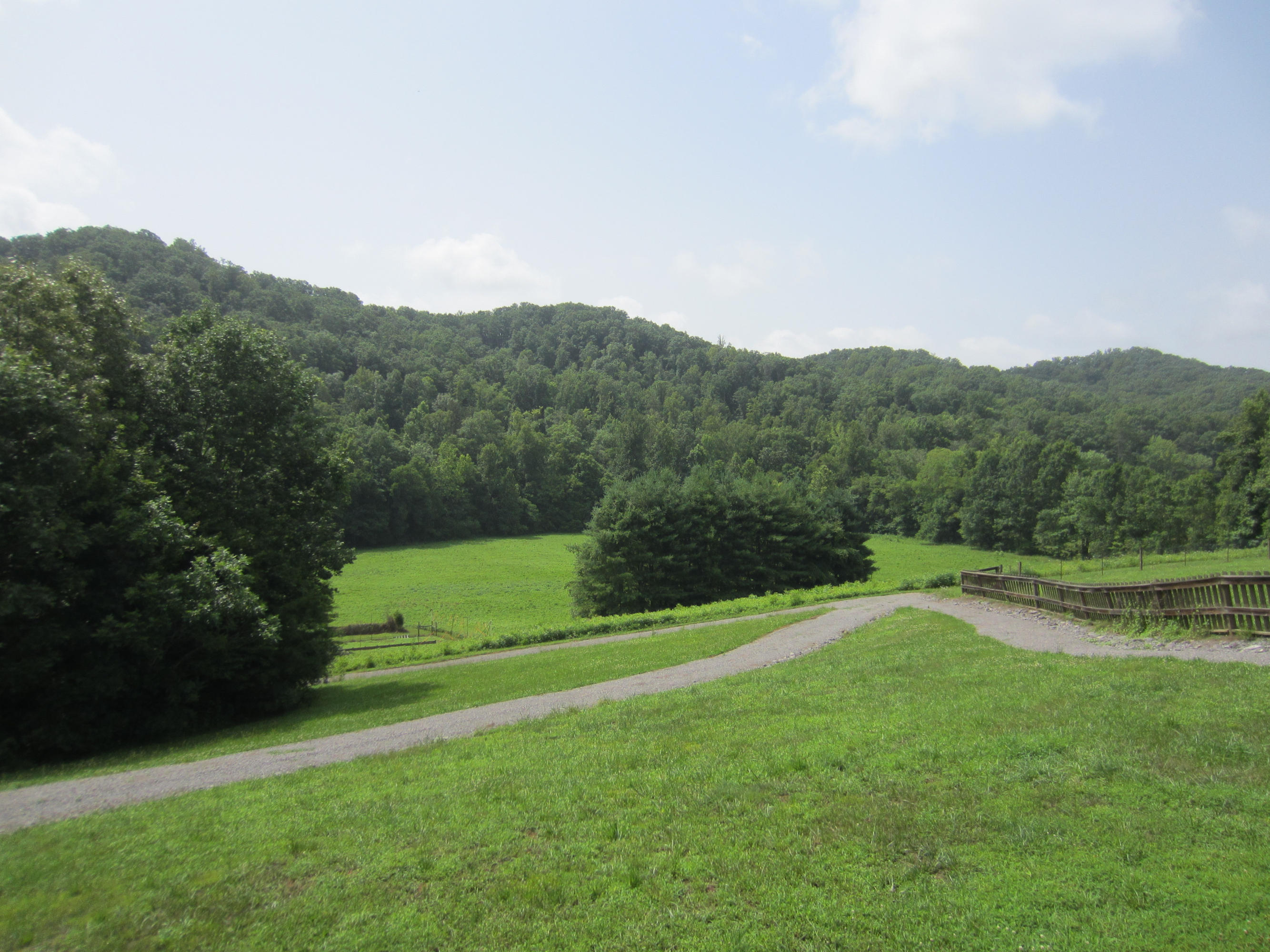 1379 Dogtown Road Ten Mile, TN 37880 - Photo 14 of 20 Beautiful View from Back Deck