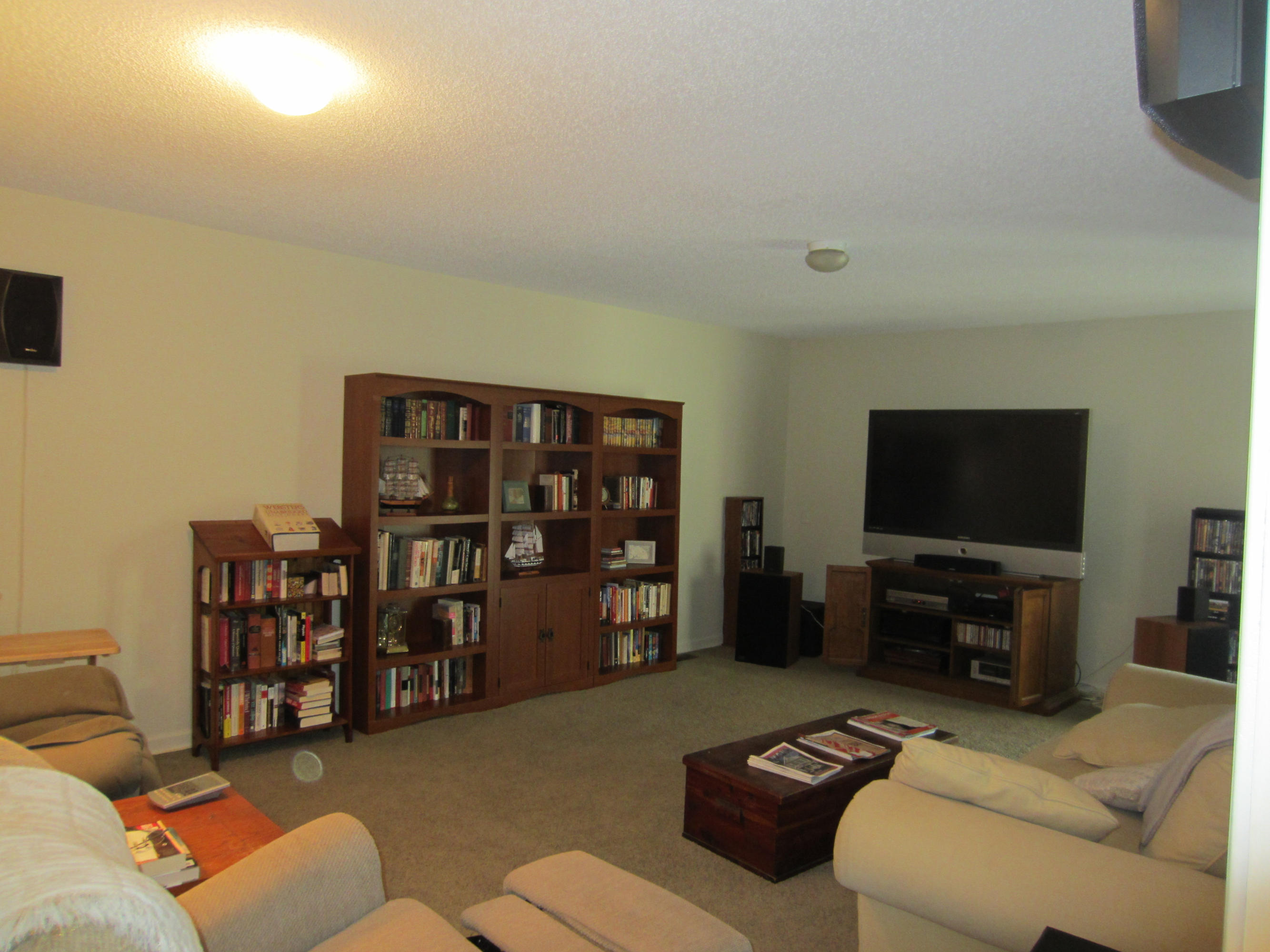 1379 Dogtown Road Ten Mile, TN 37880 - Photo 7 of 20 Media Room, Carpet Flooring