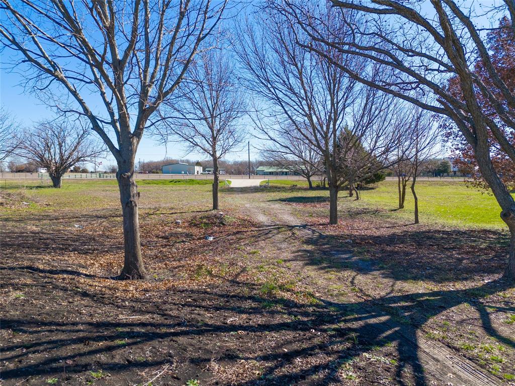 2500 Weston Road Weston, TX 75009 - Photo 9 of 13 View of green lawn