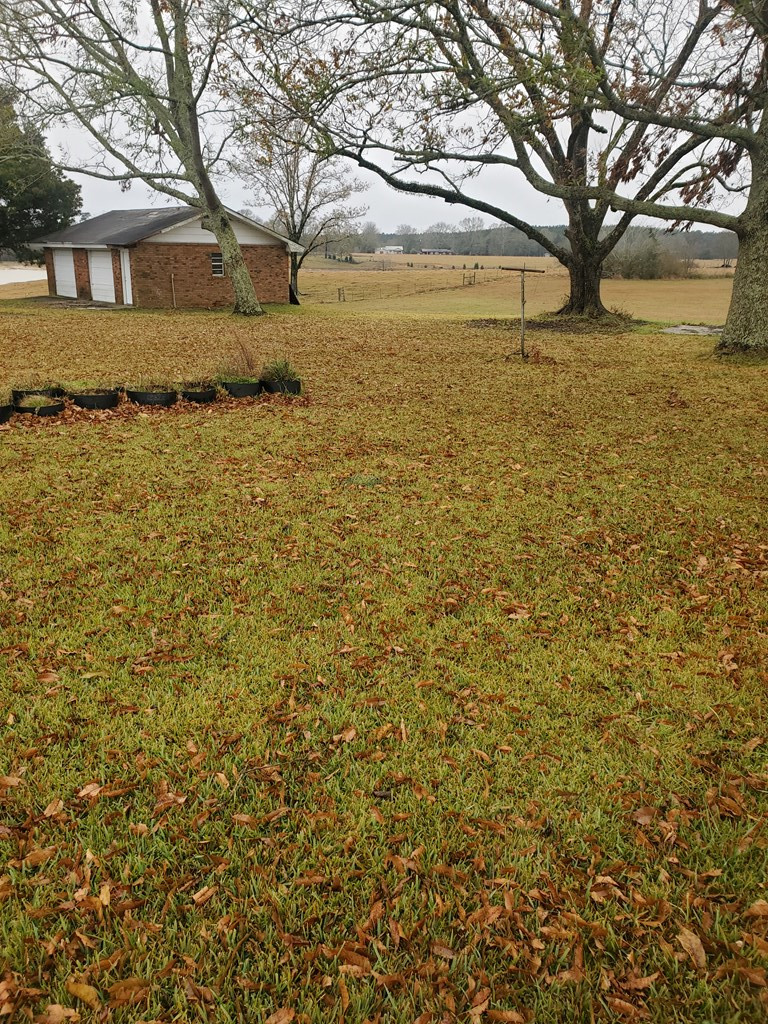 34 Harveytown Road Tylertown, MS 39667 - Photo 2 of 16 Photo 2