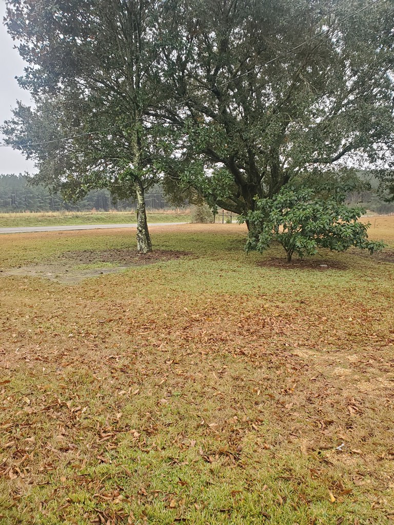 34 Harveytown Road Tylertown, MS 39667 - Photo 6 of 16 Photo 6