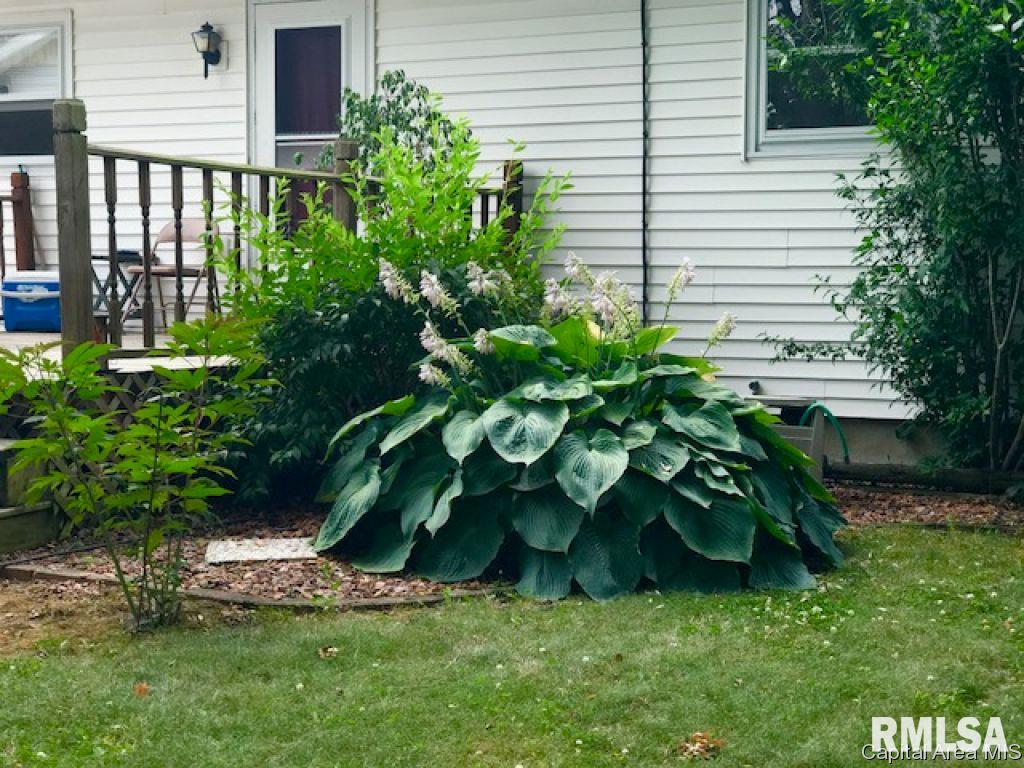 304 Walnut Valley Drive Springfield, IL 62707 - Photo 19 of 21