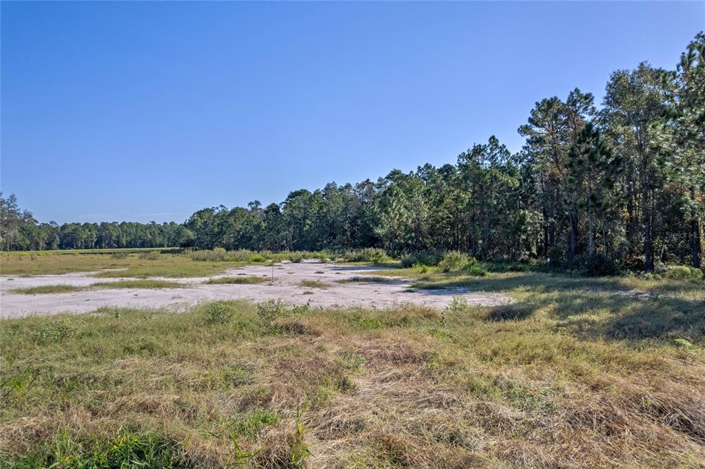 20280 Shoreline Ranches Lane Umatilla, FL 32784 - Photo 11 of 14