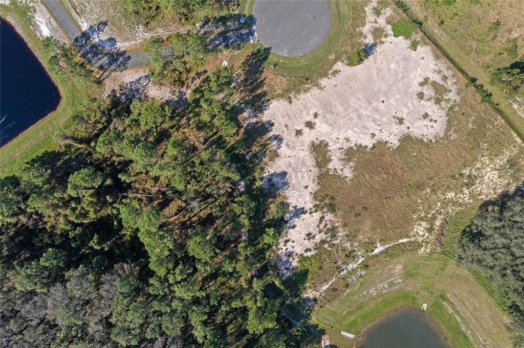 20280 Shoreline Ranches Lane Umatilla, FL 32784 - Photo 13 of 14