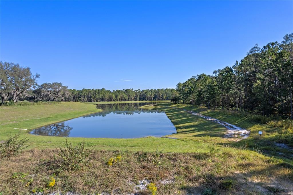 20280 Shoreline Ranches Lane Umatilla, FL 32784 - Photo 14 of 14