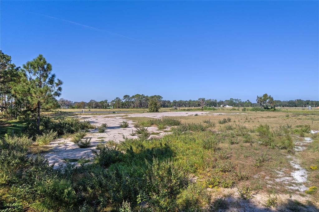 20280 Shoreline Ranches Lane Umatilla, FL 32784 - Photo 3 of 14