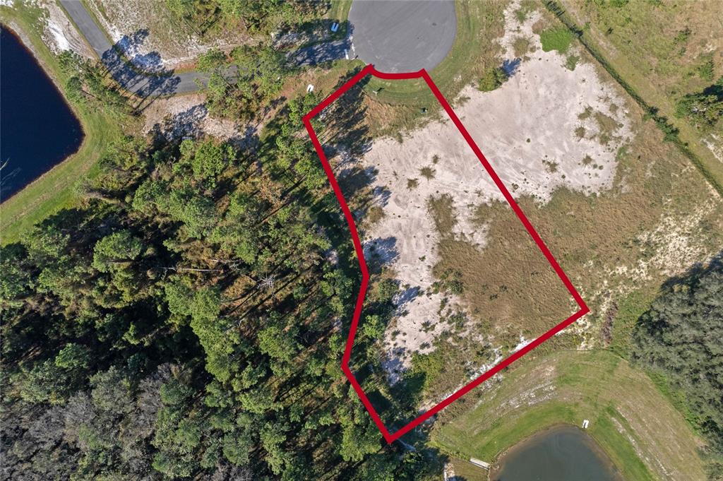 20280 Shoreline Ranches Lane Umatilla, FL 32784 - Photo 9 of 14