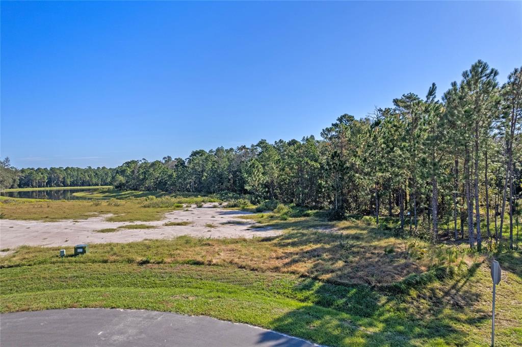 20280 Shoreline Ranches Lane Umatilla, FL 32784 - Photo 10 of 14