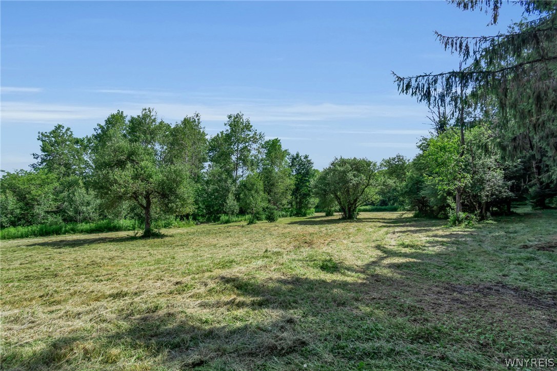 36 Freedom Road Freedom, NY 14065 - Photo 40 of 50