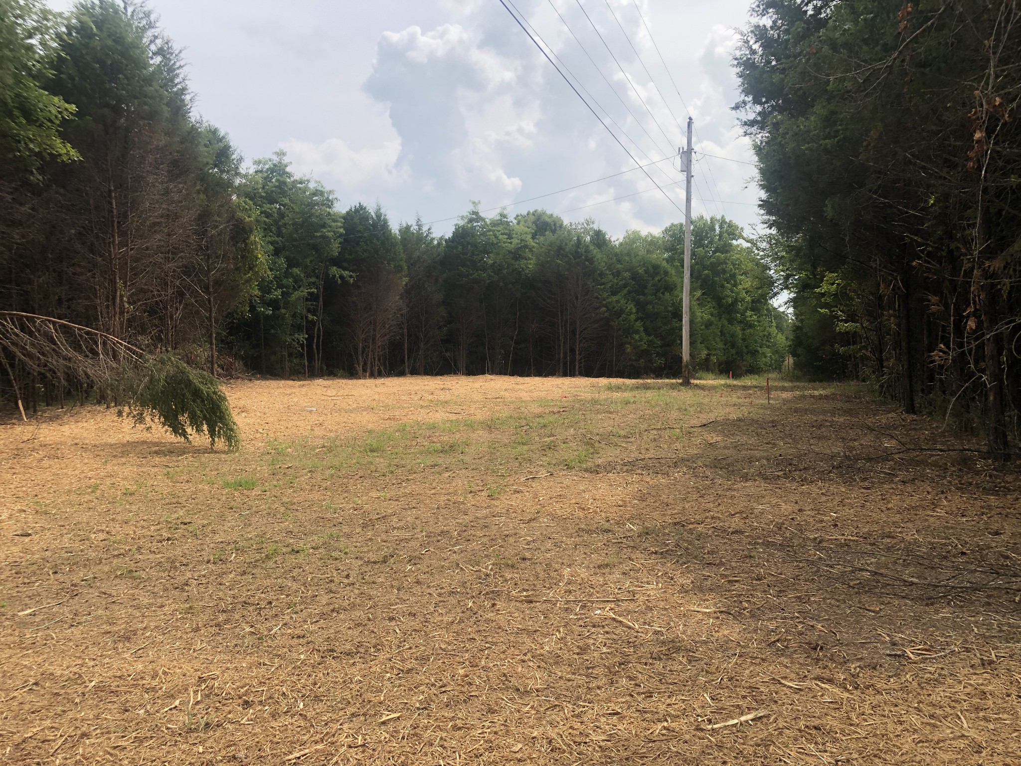 673 Canoe Branch Road Castalian Springs, TN 37031 - Photo 1 of 3