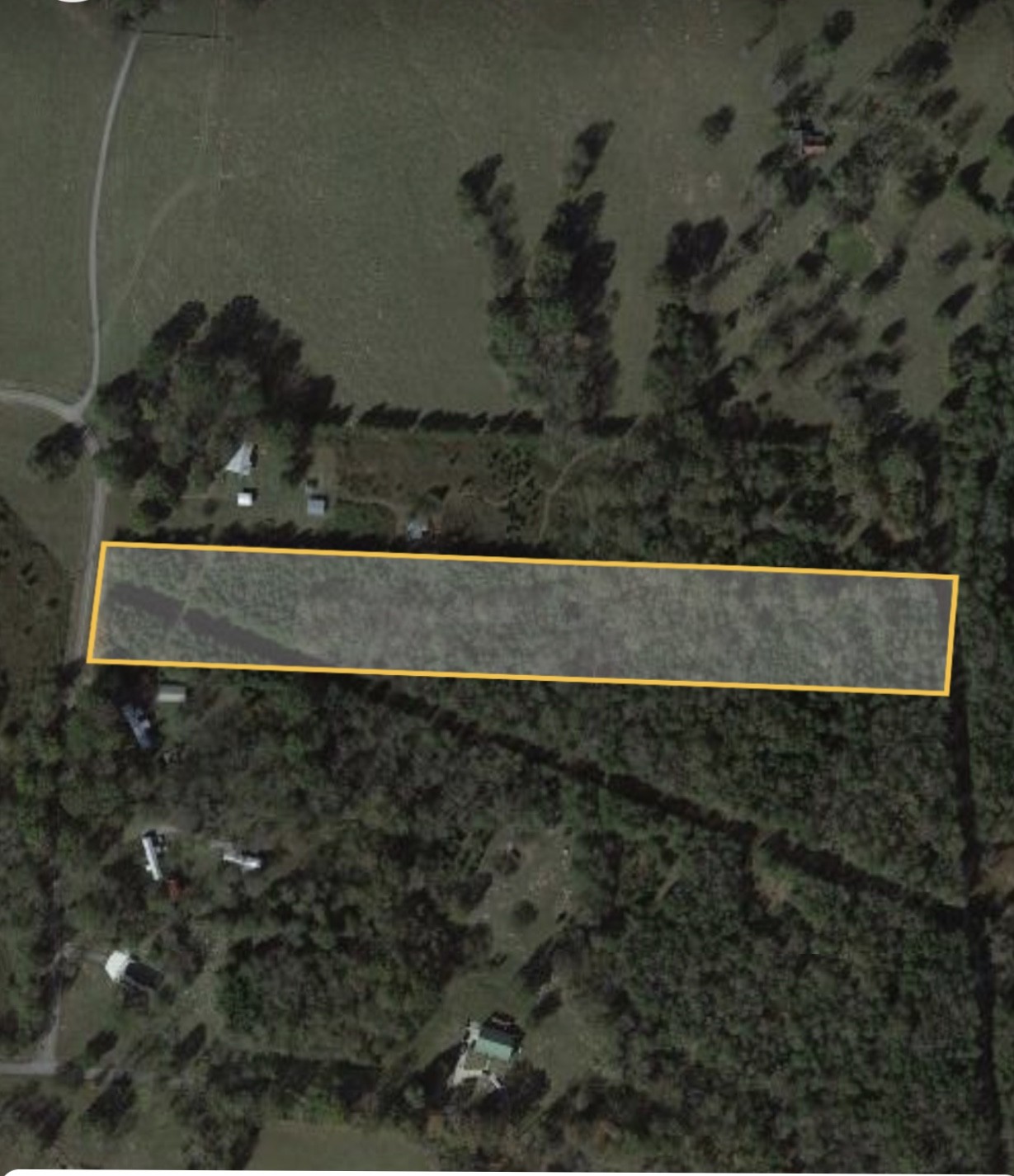 673 Canoe Branch Road Castalian Springs, TN 37031 - Photo 3 of 3
