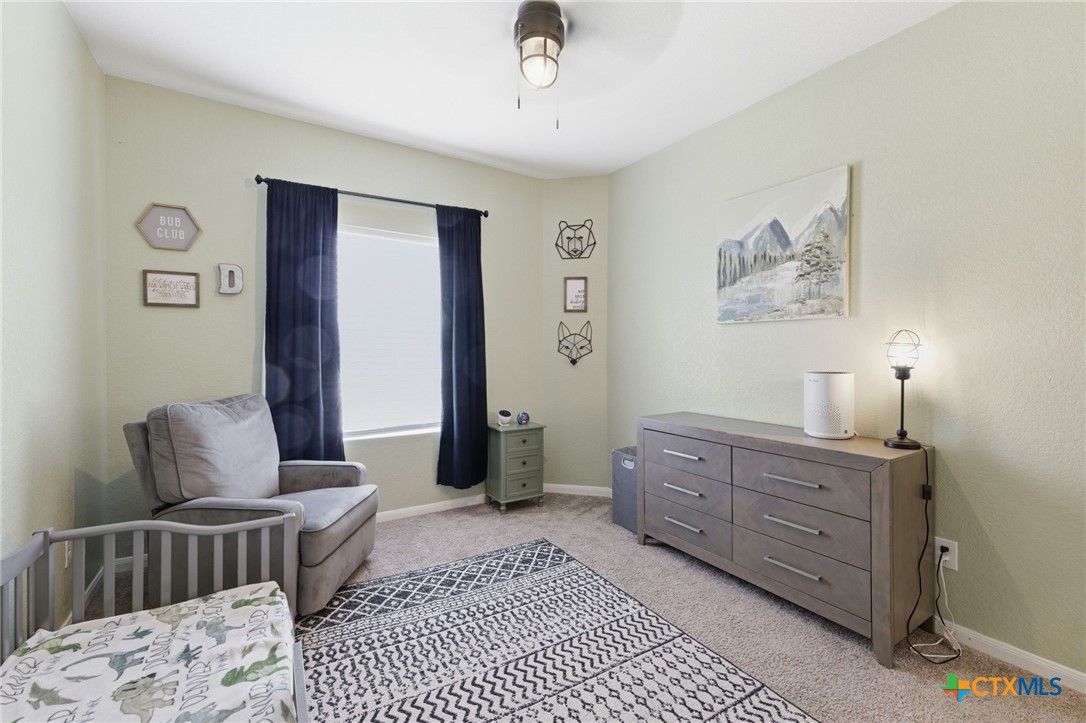 6067 Draw Loop Bulverde, TX 78163 - Photo 30 of 48