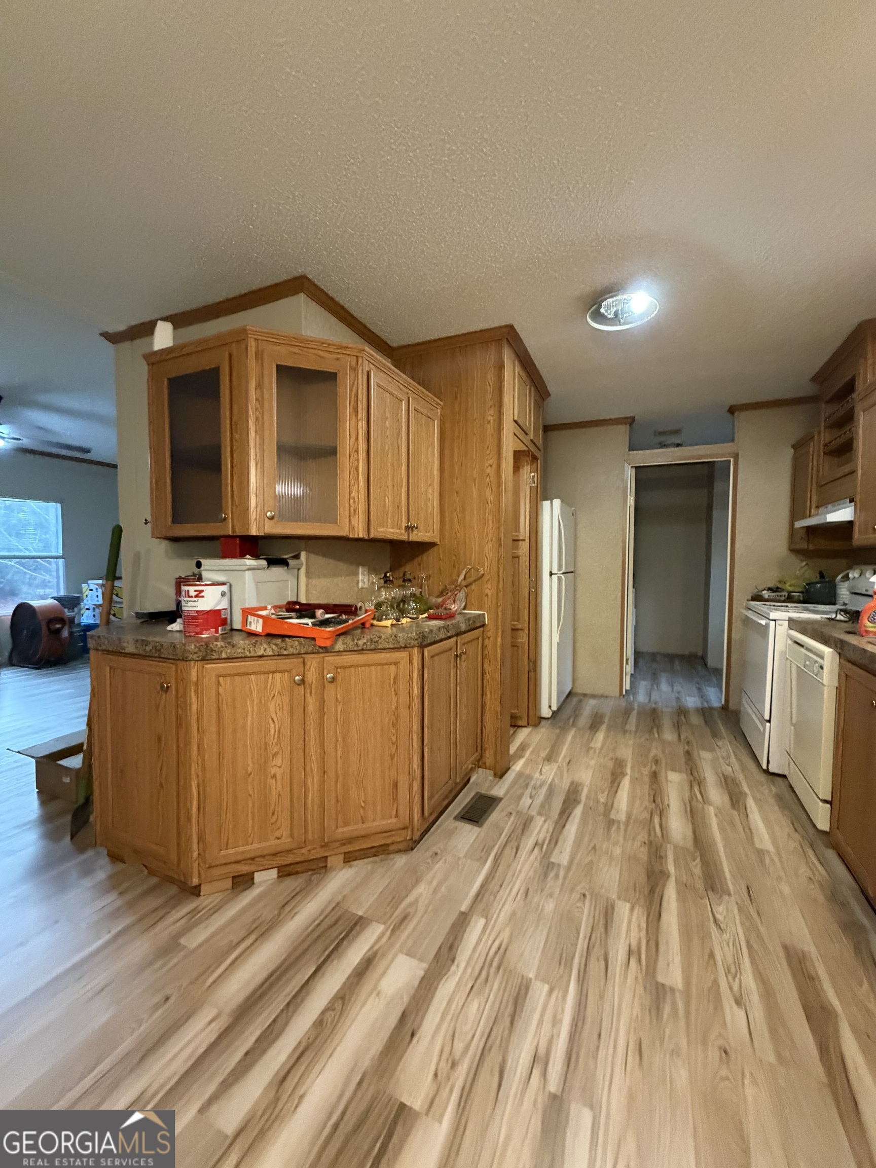 640 Beasley Road Cadwell, GA 31009 - Photo 2 of 6 a view of kitchen with cabinets and wooden floor